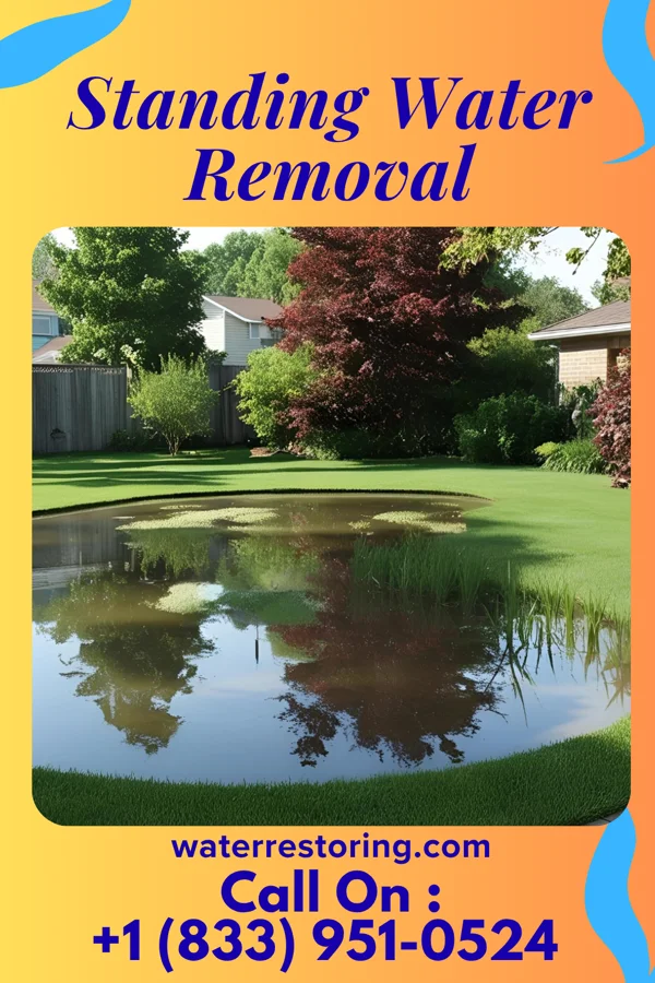 Standing Water Removal in Beechwood Village, KY